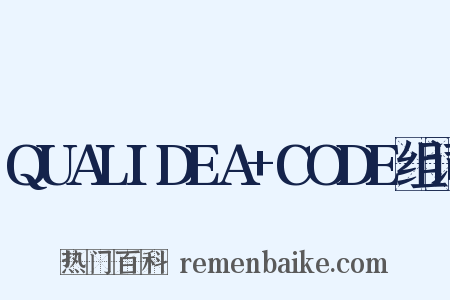 QUALIDEA+CODE组词是什么意思的图片